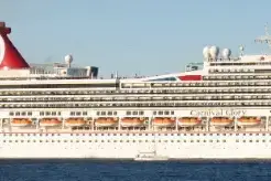 IMG_1459 Carnival Glory.webp
