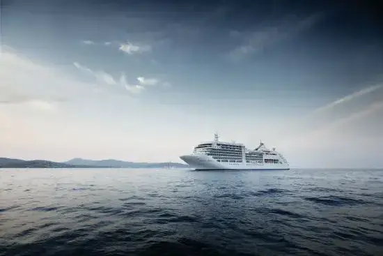 silver spirit1.webp