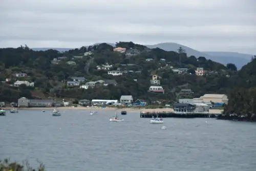 Օբան, Ստյուարտ / New Zealand