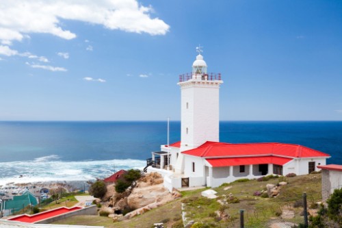 Մոսլա ծովածոց / South Africa
