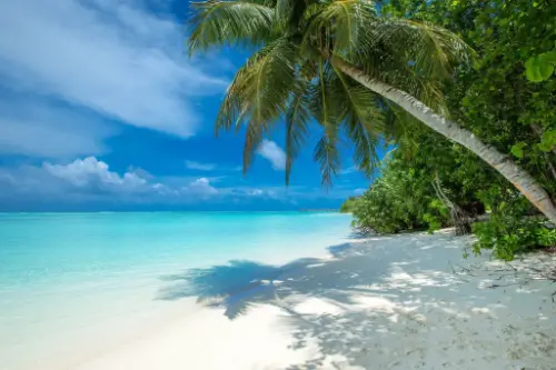 Չեֆե Պոմենե / Mozambique