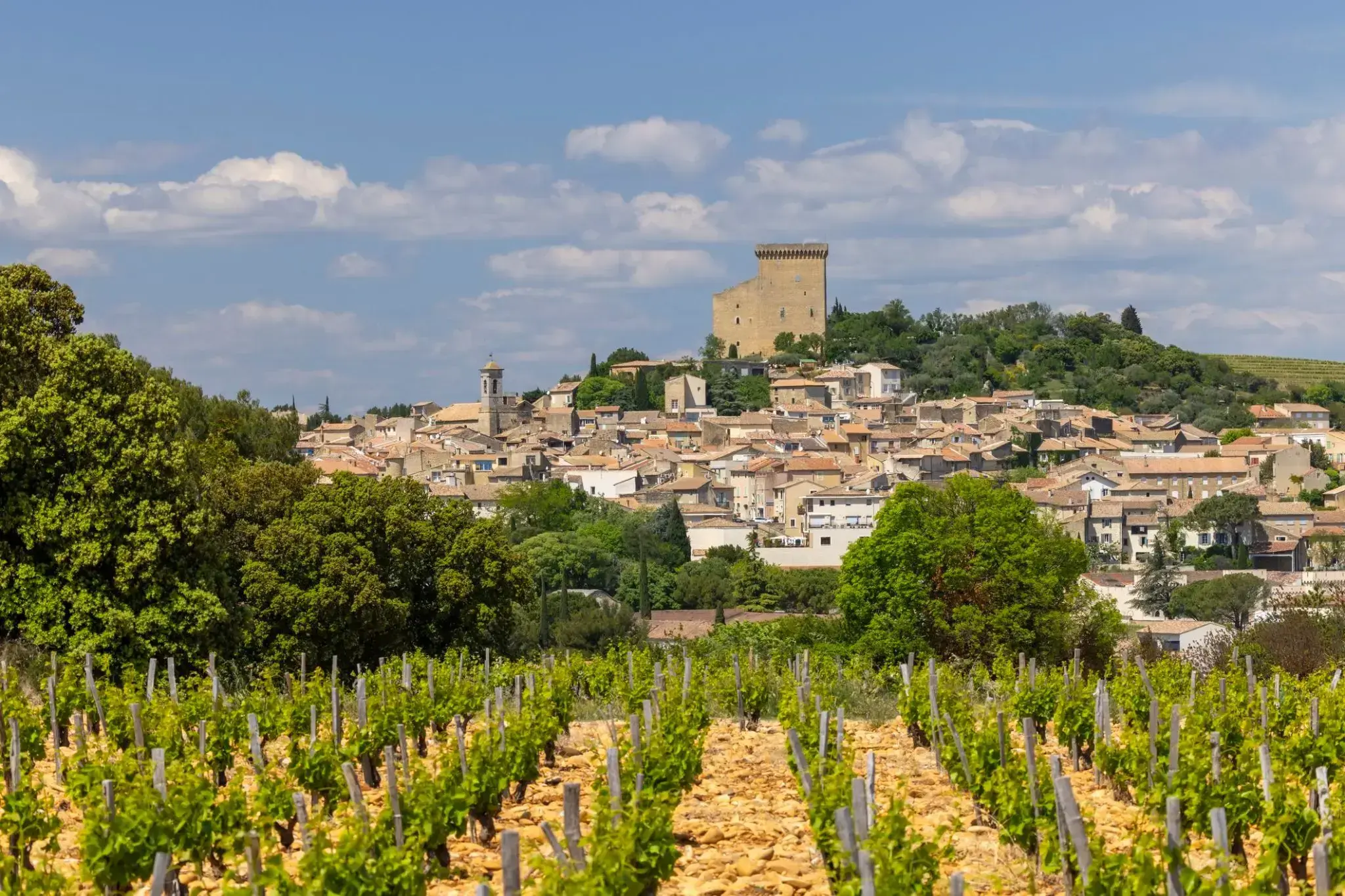 2386687_Chateauneuf-du-Rhone.webp