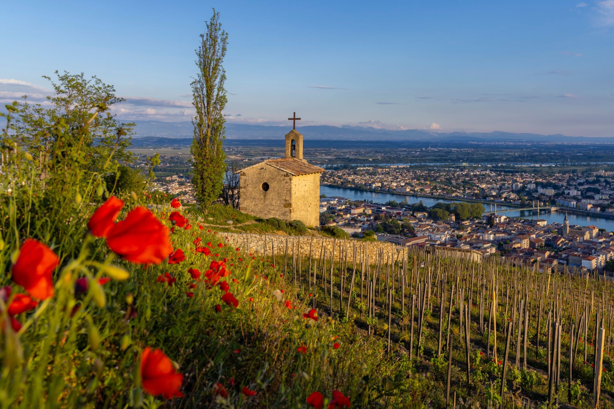 2389388_Tain-l'Hermitage.jpg