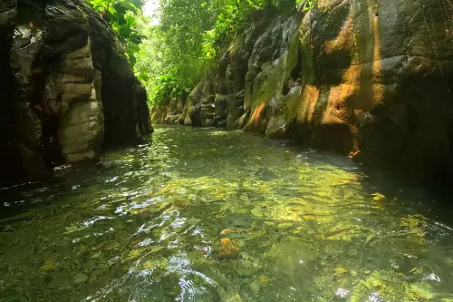 Փեթի-Բուրգ / France