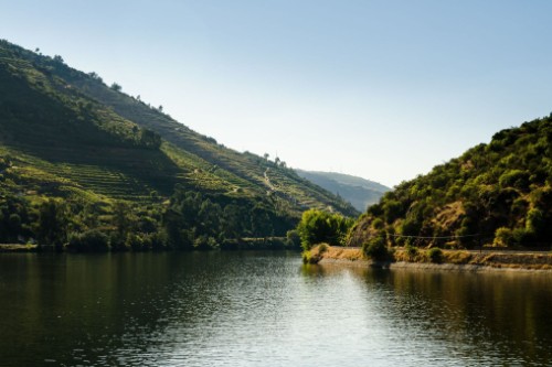 Leverinho / Portugal