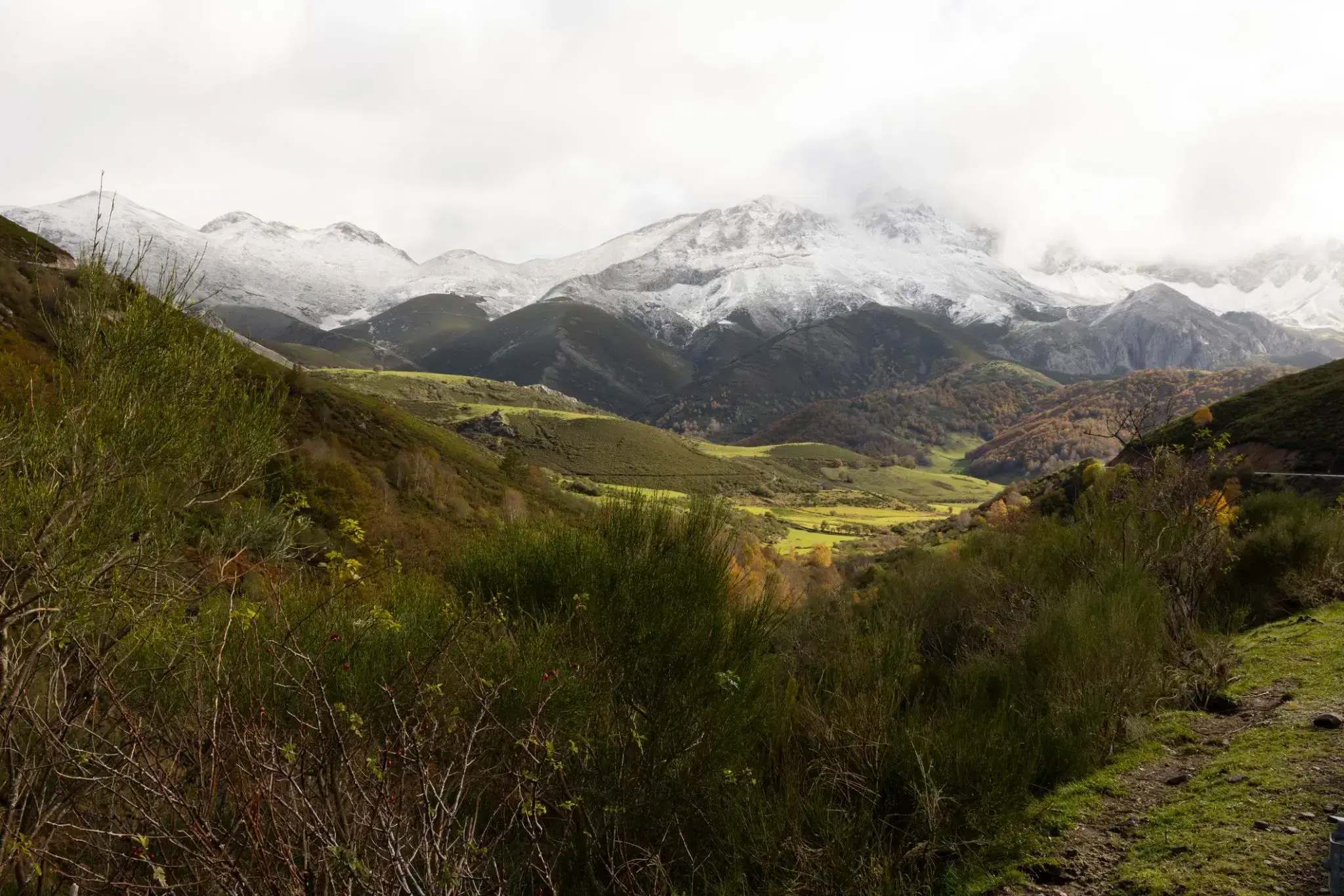 2389393_Vega Terron.webp