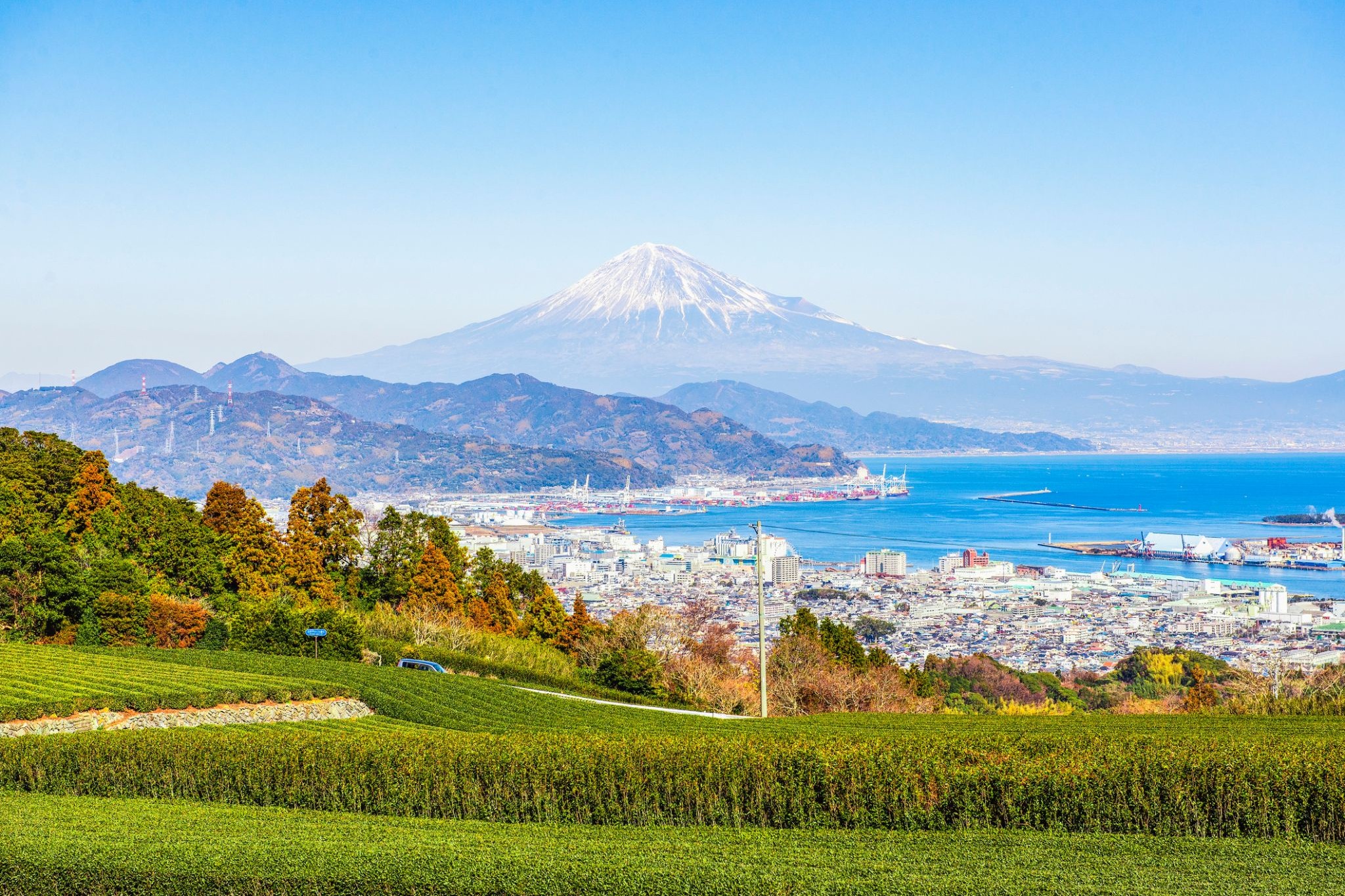 46478_Shimizu.jpg