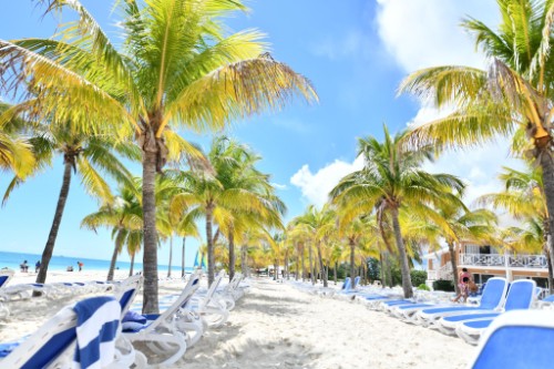 O. Grand Bahama / Багамские о-ва