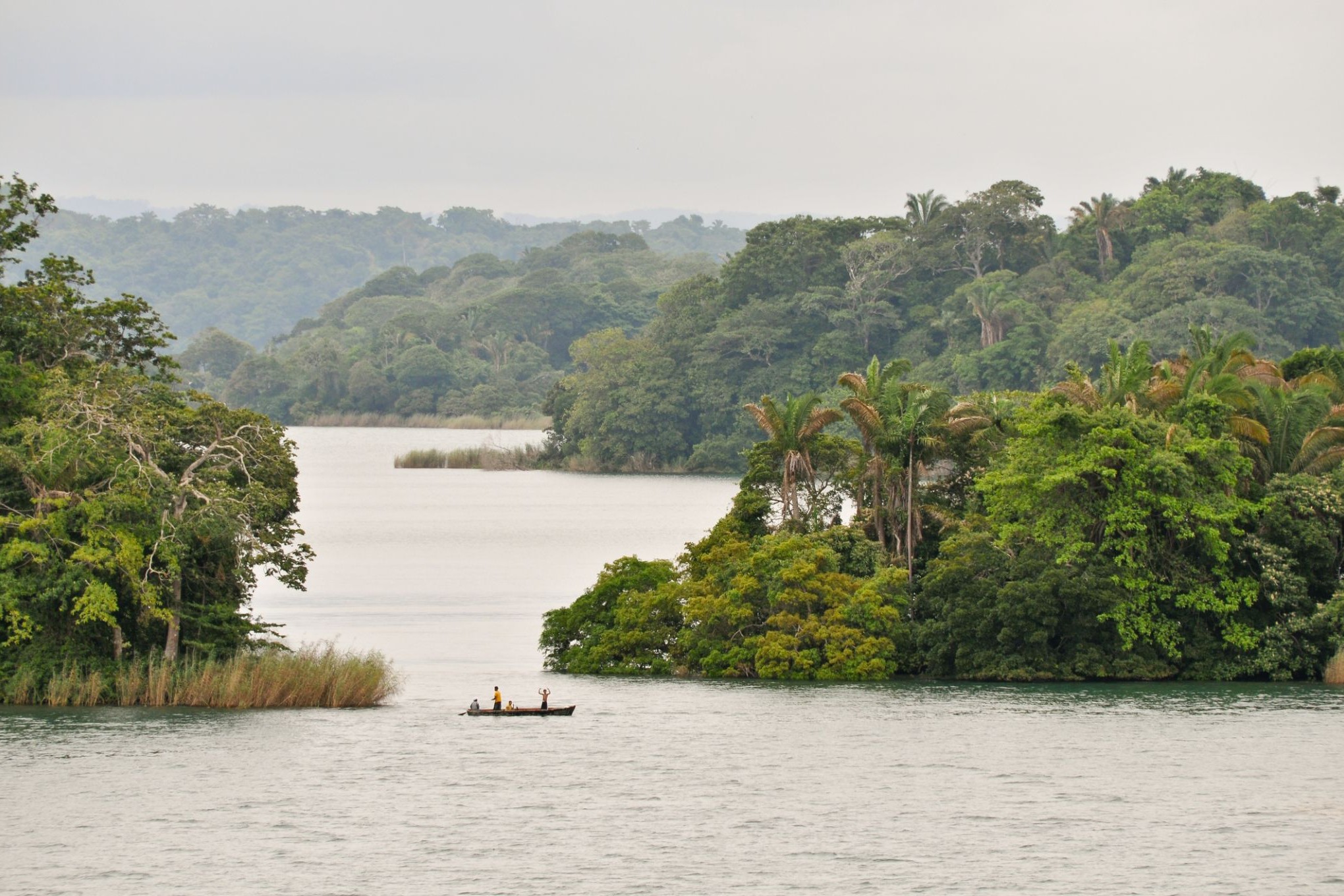 2390263_Gatun Lake.jpg