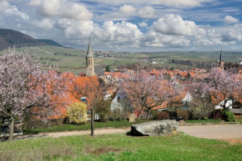 Hallgarten
