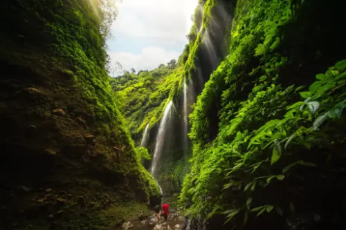 Պրոբոլինգգո / Indonesia