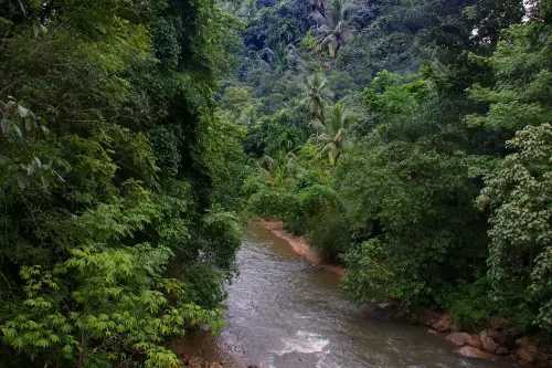 Samana Del Norte / Colombia