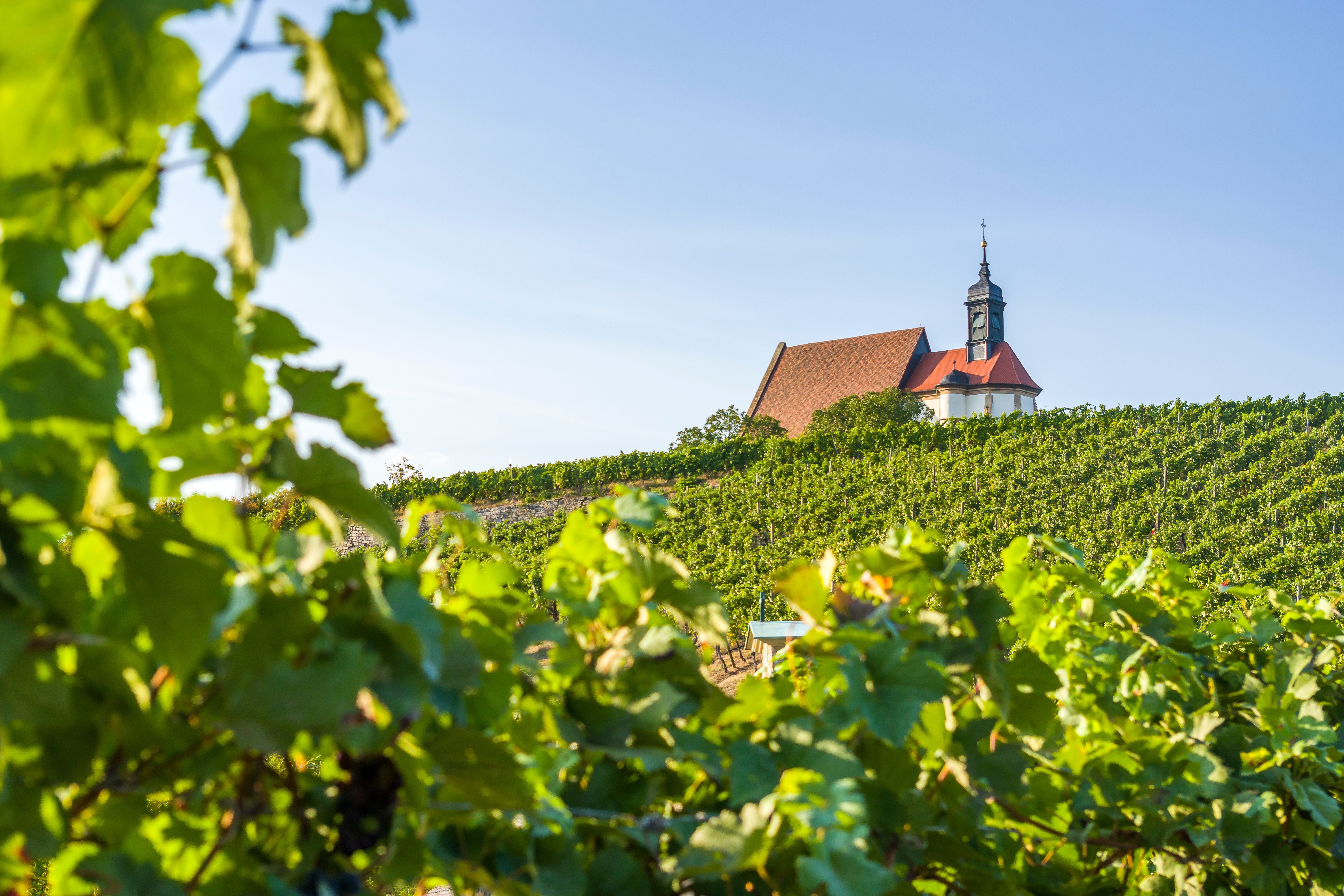 volkach-adobestock-233253728.jpeg