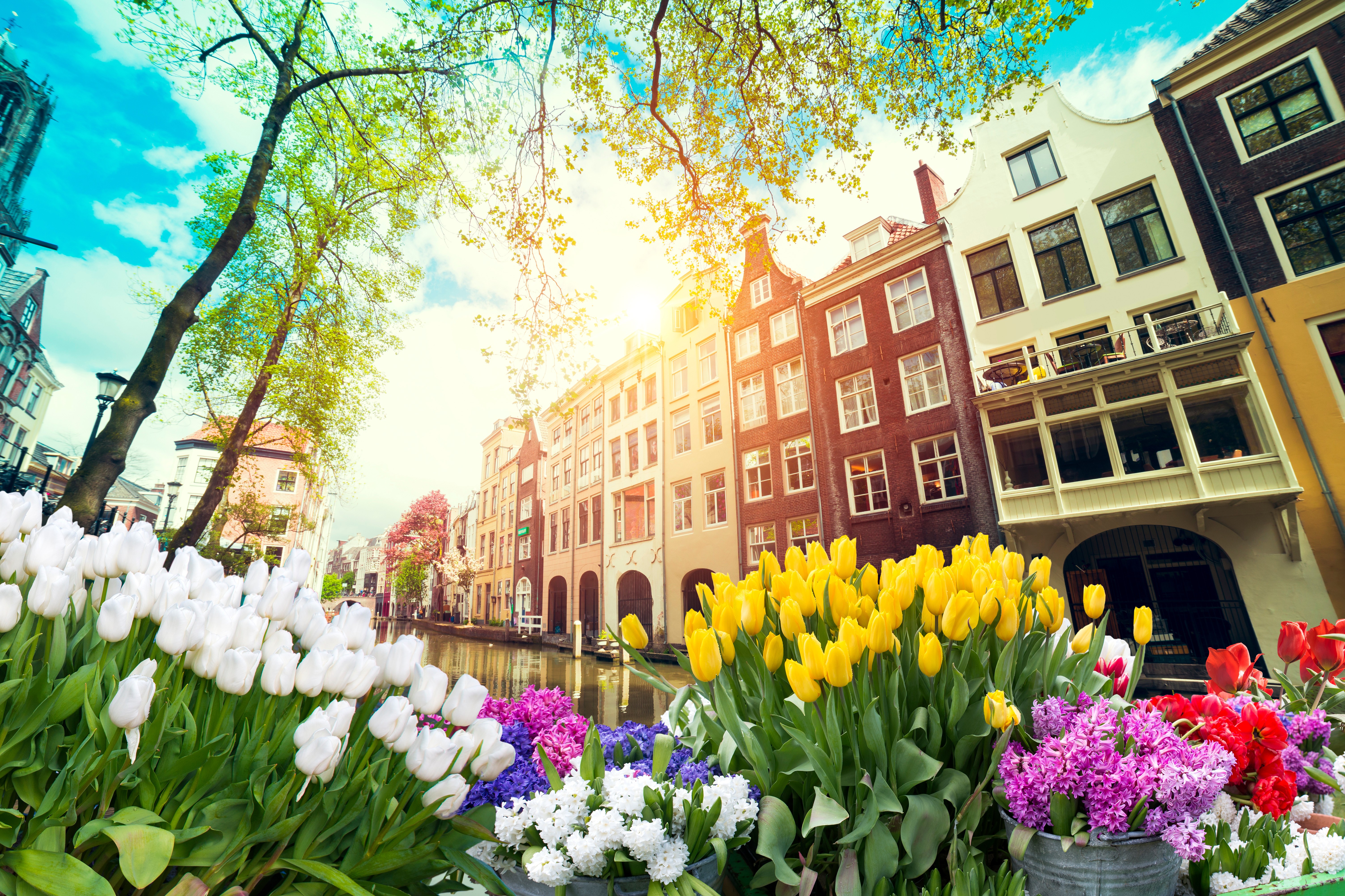 amsterdam-adobestock-192483412.jpeg