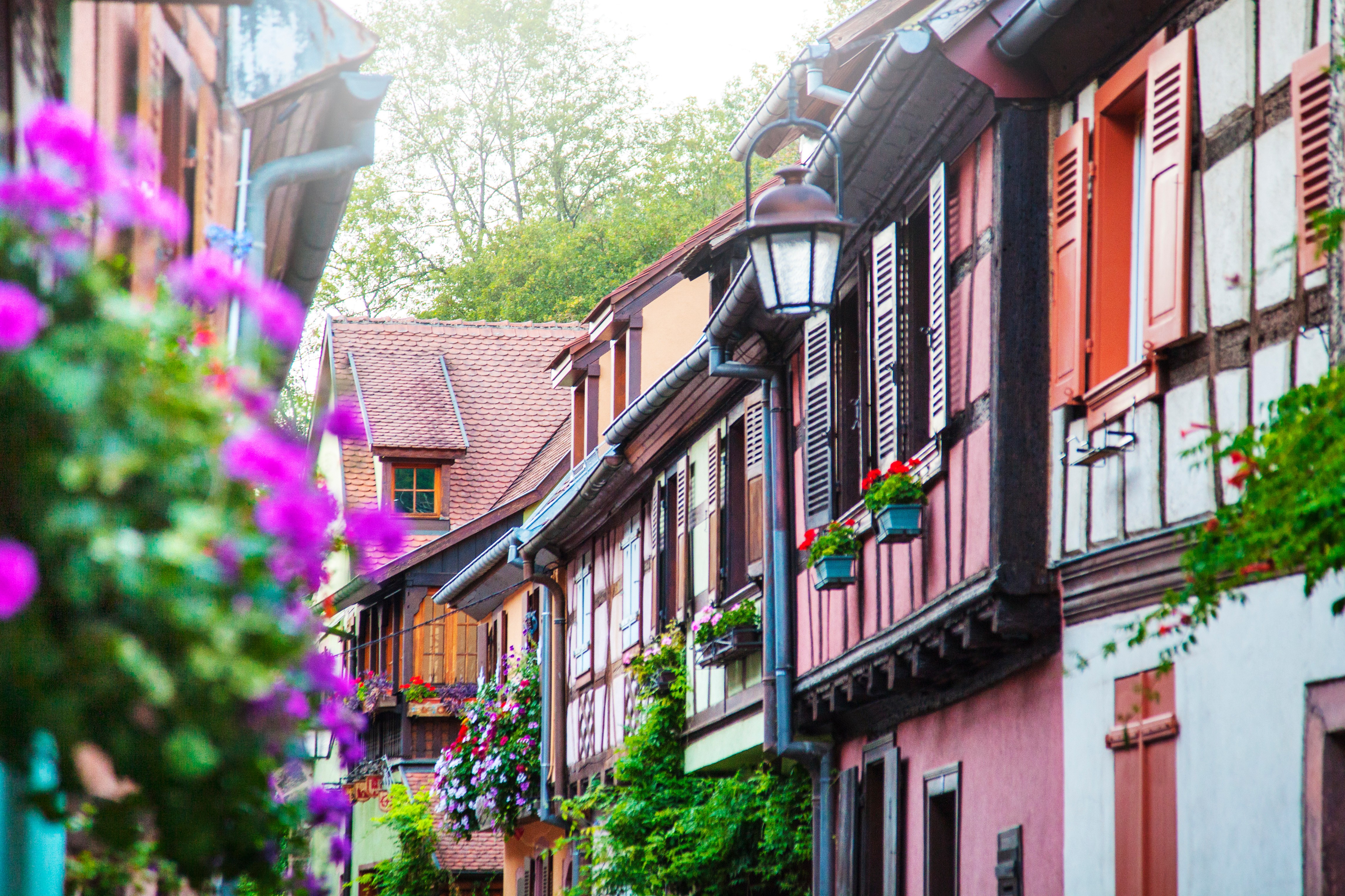 elsass-adobestock-227118524.jpeg