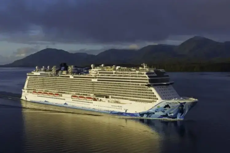 NCL Bliss.webp
