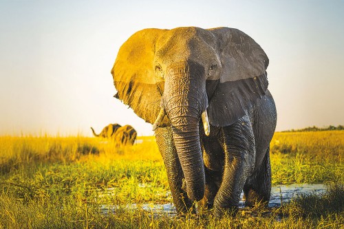 Маршрут круиза