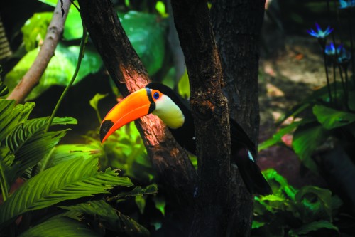 Маршрут круиза