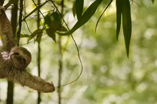 Маршрут круиза