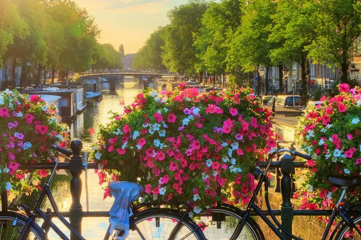 csm_AdobeStock_222985813_amsterdam_dbf0e62824.webp