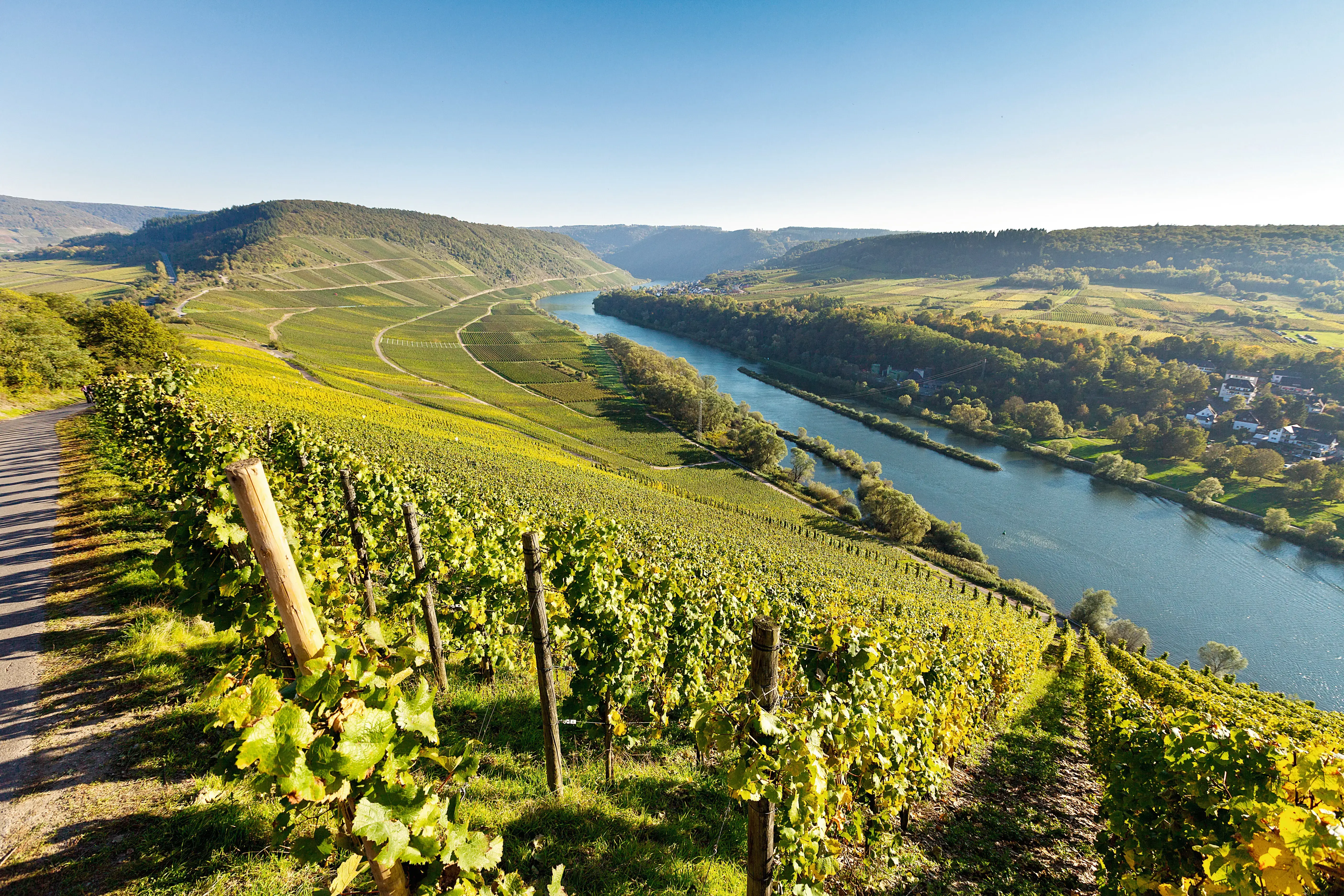 Mosel_RN_DLX_MOSELTAL_WEINBERGE_01_rgb.webp