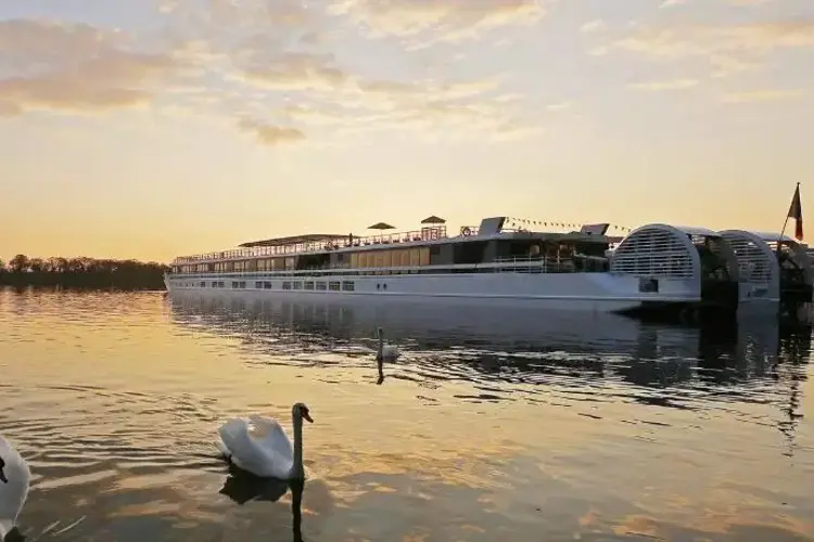 MS Elbe Princesse ship 4.1.webp